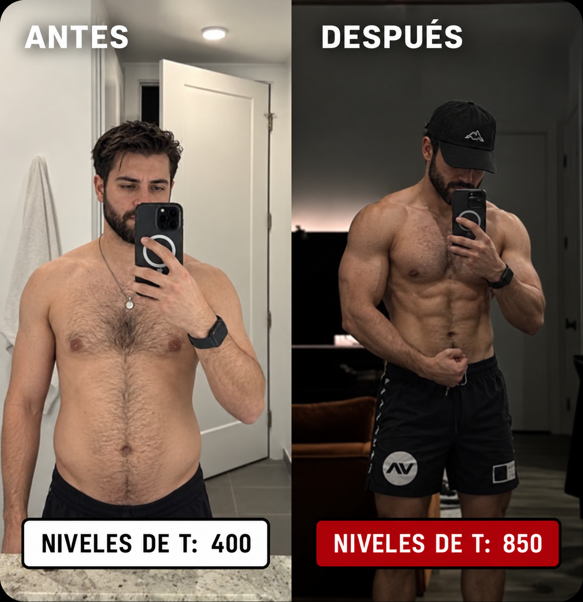 Ilustración de la razón